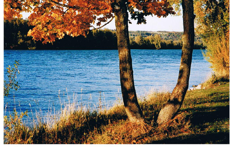 Herbstkraft