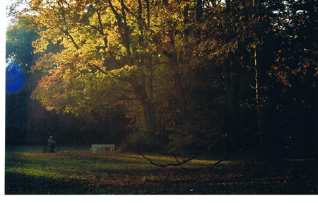 Restlicht