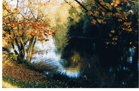 Stille